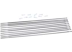 Mavic Speiche Set 298mm RR Für. 28 Aksium - Schwarz (10)