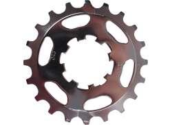 Miche Pastorek 23T 10R Campagnolo