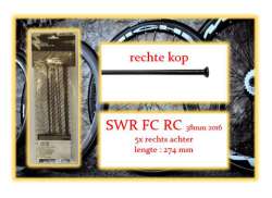 Miche Speiche Set RR F&uuml;r. SWR FC RC 38mm 2016 - Schwarz (5)