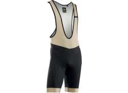 Northwave Active Evo Pantalon Court Cuissard Noir/Brun - XL