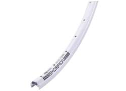 Rodi Cerchio 26" 559 19mm 36 Foro 36 Raggio - Argento