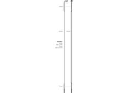 Sapim Flache Speiche 14 CX-Ray + Nippel 266mm - Silber (20)