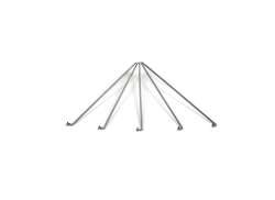 Sapim Kit De Radios 13 161mm J-Bend Inox - Plata (5)