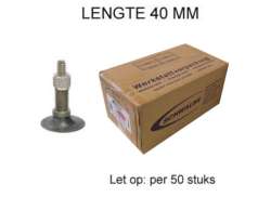 Schwalbe Camera D&acute;Aria 26" 40/62-559 DV13 40mm - (50)