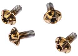 Silca Assemblage Boulons Hex M5 x 12mm - Bourbon