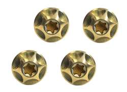 Silca Assembly Bolts Hex M5 x 12mm - Gold