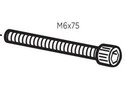 Thule 螺钉 MC6S M6x75 50618 为. RideOn 9502