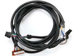 Tranzx Conjunto De Cabo Visor DP10