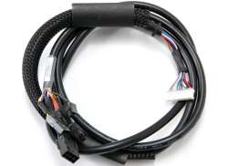 Tranzx Display Kabel For DP05 Lucca