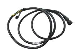 TranzX MF01 Motor Cable 36V For. Friesl/Monza - Bl