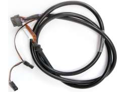 Tranzx Pantalla Cable Para DP10 St. Vincent / Schönau