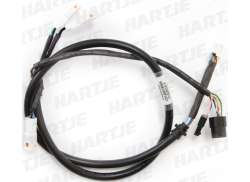 Tranzx Set Cabluri Display DP16 Pentru M25 De La 2014