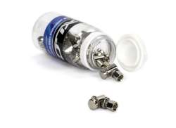 XLC Cable Adjuster Bolt Shimano Nexus Brass - Silver (15)