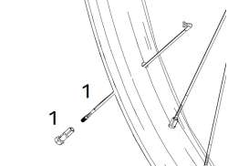 Zipp DLight スポーク セット 300mm とともに ニップル - ブラック